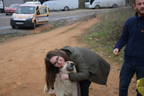 MUHAK Ormandaki Köpekleri Besledi